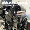 Mercury ME30 ELPT