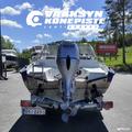 Silver Hawk 540 DC + Honda BF 100 A LRTU