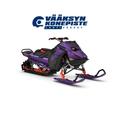 Ski-Doo Freeride STD 850 E-TEC