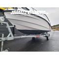 Finnmaster T6 + Yamaha F150