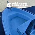 Yamarin 470 Big Fish + Evinrude 50 DPLSR 