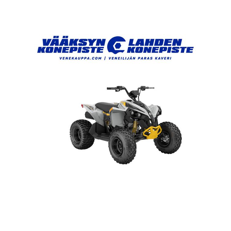 Can-Am renegade STD 110 EFI 2023 - Catalyst Gray/Neon Yellow