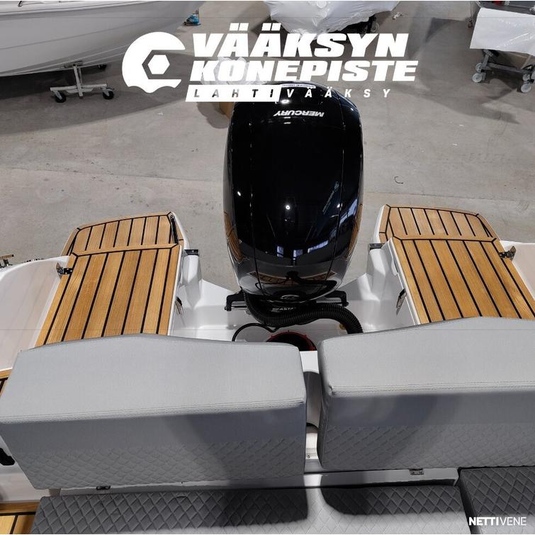 Flipper 650 DC + Mercury F150 XL