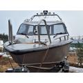 Anytec 747 c + Evinrude 250 e-TEC