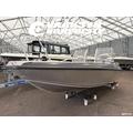 Buster L 2 + Mercury F50 ELPT EFI