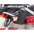 Lynx Rave Enduro 600R E-TEC - Bright White/Evo Red