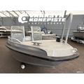 Buster L 2 + Mercury F50 ELPT EFI