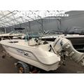 SeaStar 480 + Honda BF 50