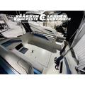 Sea Ray 220 DA + MerCruiser 5.0 MPI